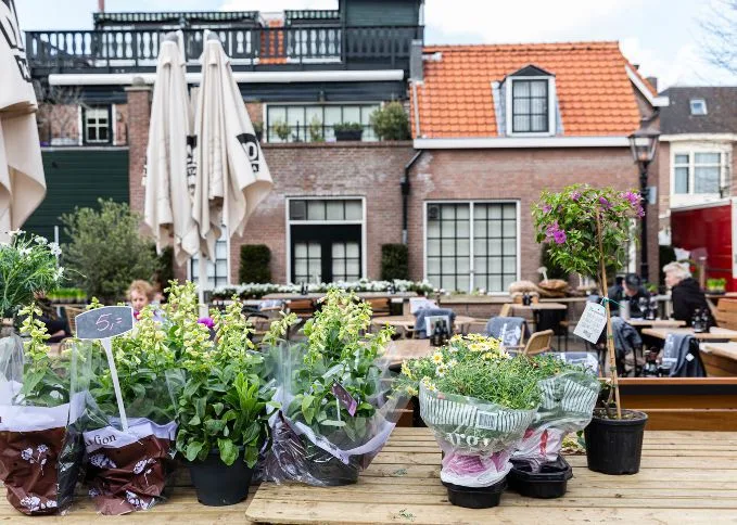 Robin Butter 040521 Oud Rijswijk 026 WEB