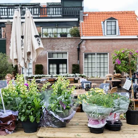 Robin Butter 040521 Oud Rijswijk 026 WEB