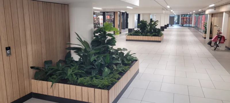 20250904 141834 resized