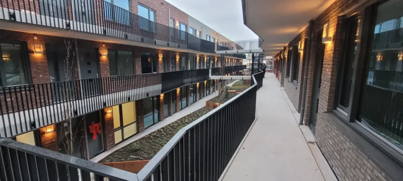 20251203 084904 resized