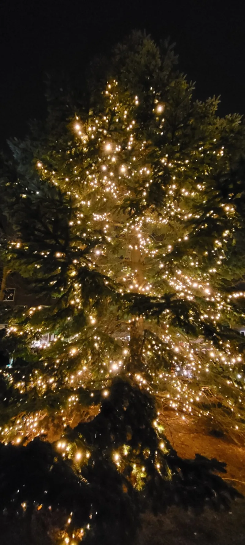 20251212 190745 resized