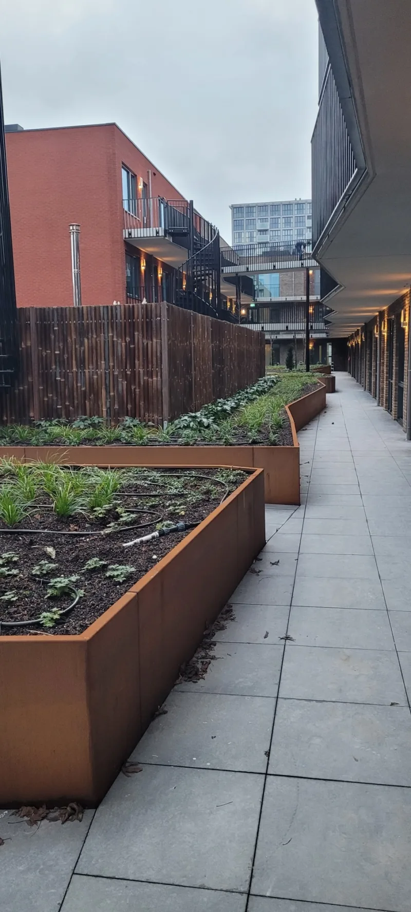 20251203 084751 resized