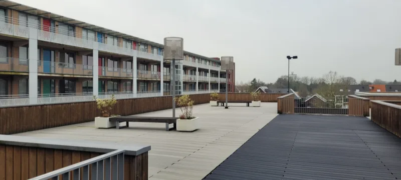 20250123 104953 resized