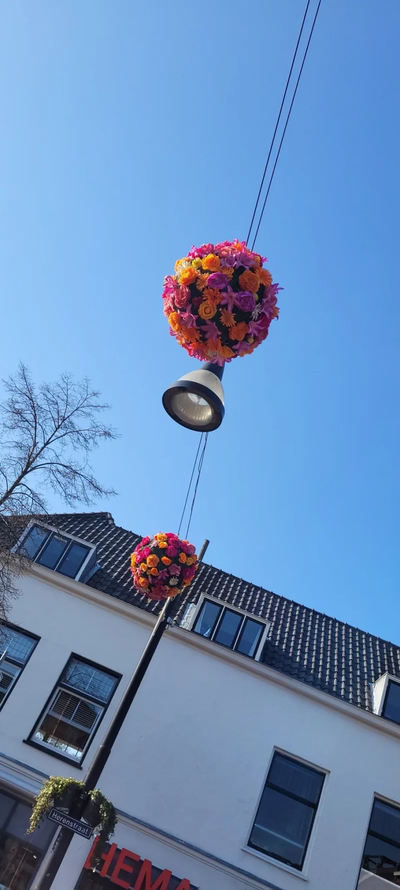 20250403 174114 resized 1