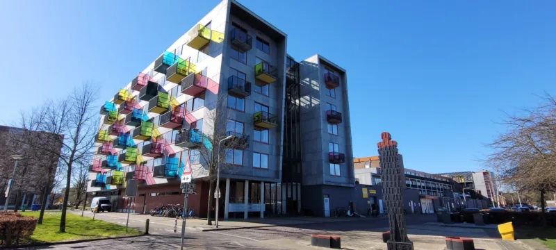 20250318 110448 resized