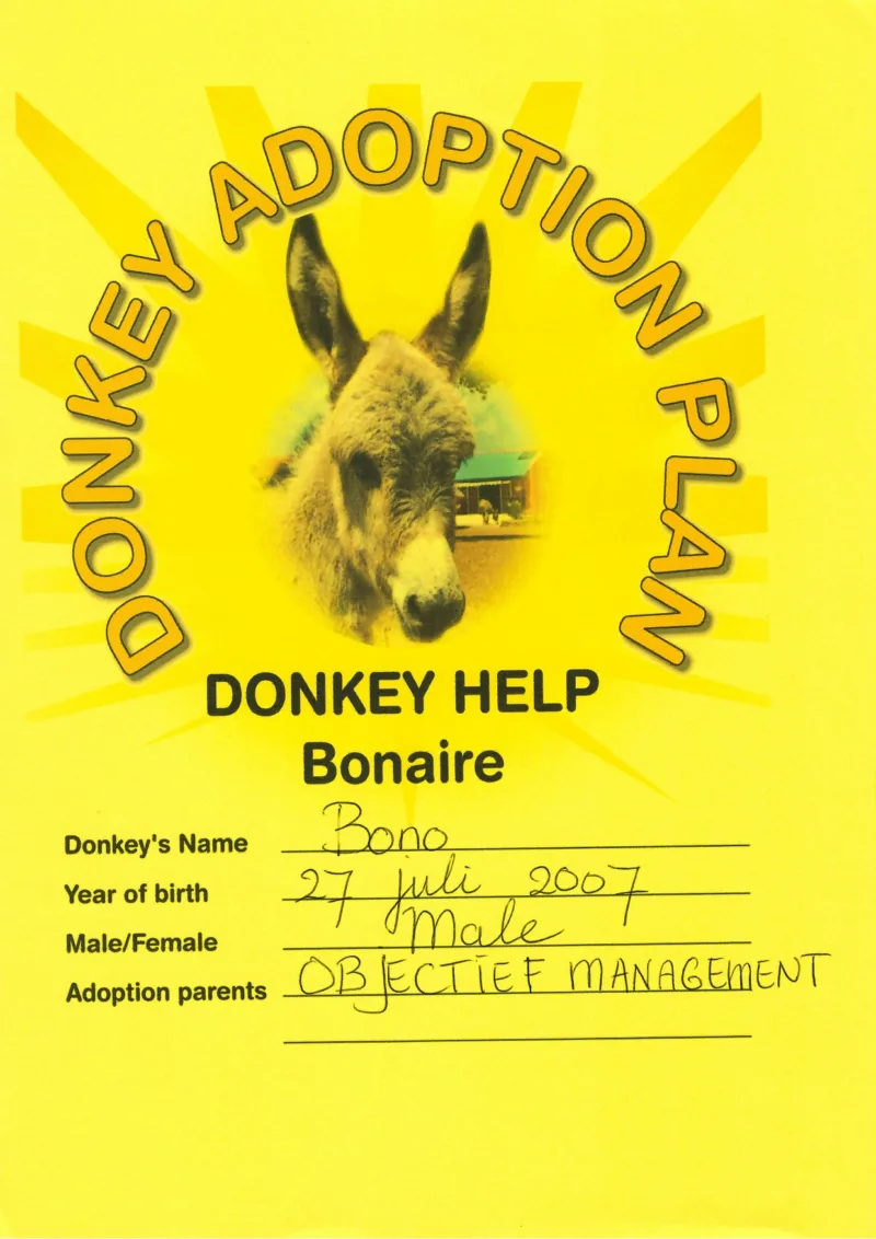 Adoptiecertificaat Bono page 0001