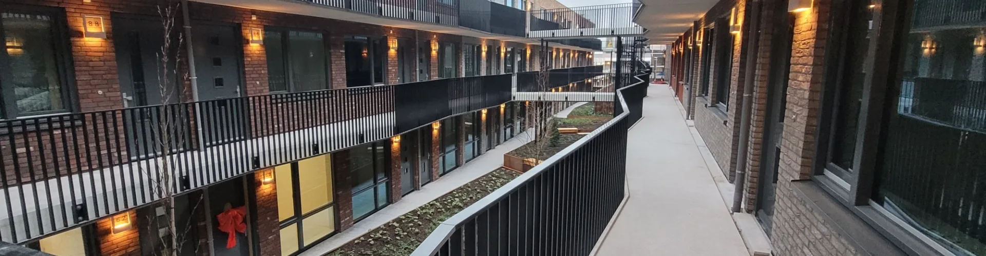 20251203 084904 resized