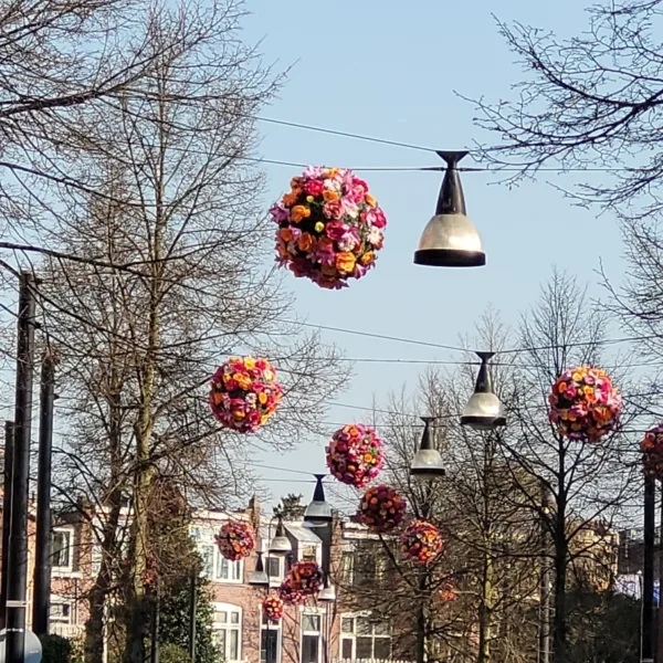 20250403 174132 resized 1